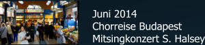 Juni 2014 Chorreise Budapest Mitsingkonzert S. Halsey