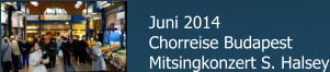 Juni 2014 Chorreise Budapest Mitsingkonzert S. Halsey